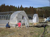 ハウスの前部分