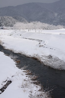 冬の草野川